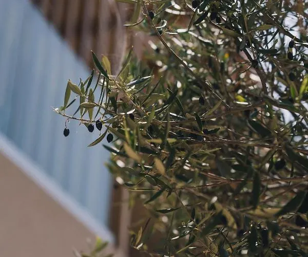 Szálloda The Nest 2*