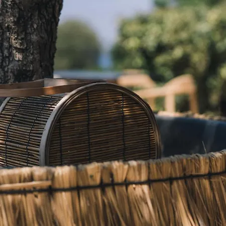The Nest 2*