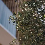 Ξενοδοχείο The Nest 2*