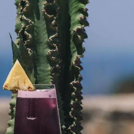 فندق The Nest 2*