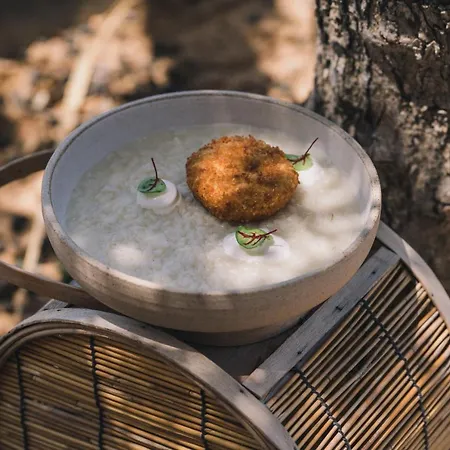 The Nest 2* خيرسونِسوس